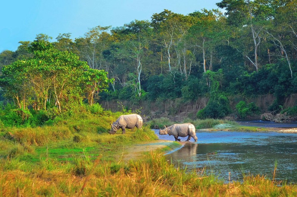 Chitwan Tourism